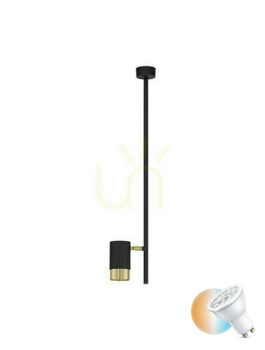 Verifica Plafond BAILON Luces Exclusivas LE43635