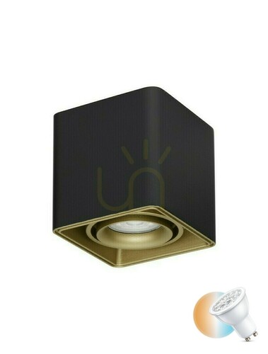Verifica Spot de tavan negru Luces Exclusivas ACATIPA LE61637 GU10 10 W