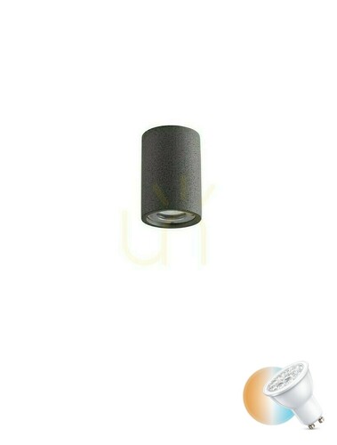 Verifica MIRENZO Luces Exclusivas Outdoor Plafonds LE75182