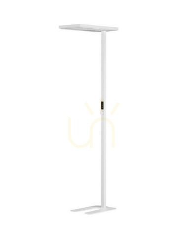 Verifica CENZIRA Luces Exclusivas Lampă de podea LE45413