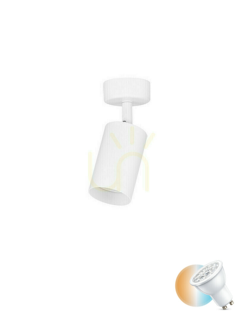 Verifica Plafond TREMANO Luces Exclusivas LE45663 Plafond TREMANO Luces Exclusivas LE45663