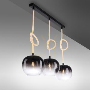 Pendul Paul Neuhaus LUMA 2411-18 negru-alb, 3 × E27 cu cablu iluminat small 10