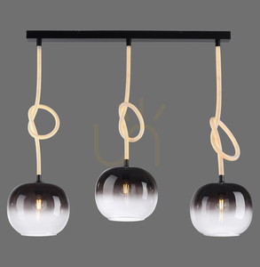 Pendul Paul Neuhaus LUMA 2411-18 negru-alb, 3 × E27 cu cablu iluminat small 7
