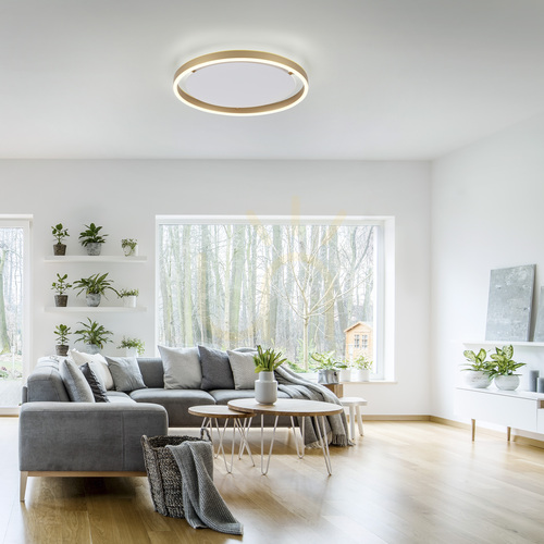 Verifica Plafonieră LED JUST LIGHT RITUS 15391-60, alamă mată, 39,3 cm, Switchmo