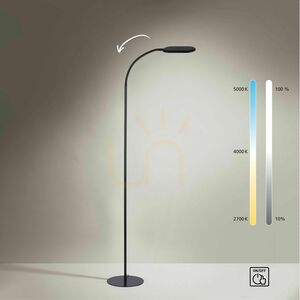 Lampă de podea KELLY 14406-18 negru 1xLED 10 Lampă de podea KELLY 14406-18 negru 1xLED small 10