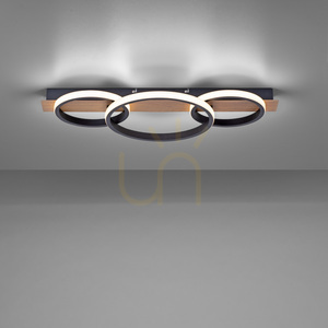 TROOPER Plafond 15616-78 Lemn 1xLED 4 TROOPER Plafond 15616-78 Lemn 1xLED small 4