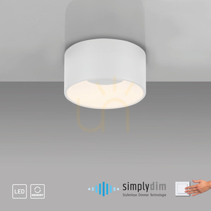 TANIKA Plafond 14325-16 Alb 1xLED small 8