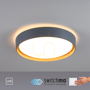 Plafond EMILIA 14347-15 Gri 1xLED 9 Plafond EMILIA 14347-15 Gri 1xLED small 9