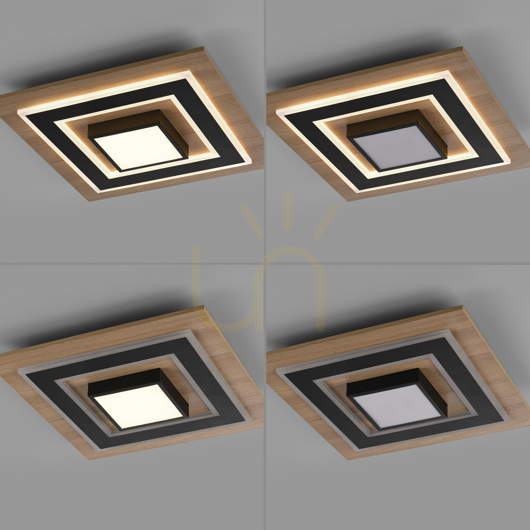 previzualizare TOLA plafond 14563-18 negru 1xLED TOLA plafond 14563-18 negru 1xLED
