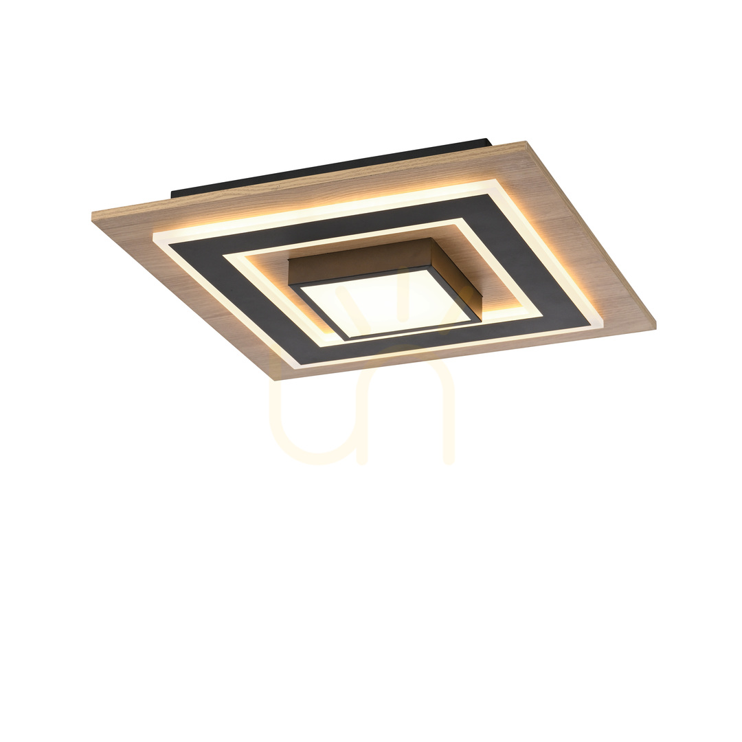 previzualizare TOLA plafond 14563-18 negru 1xLED TOLA plafond 14563-18 negru 1xLED