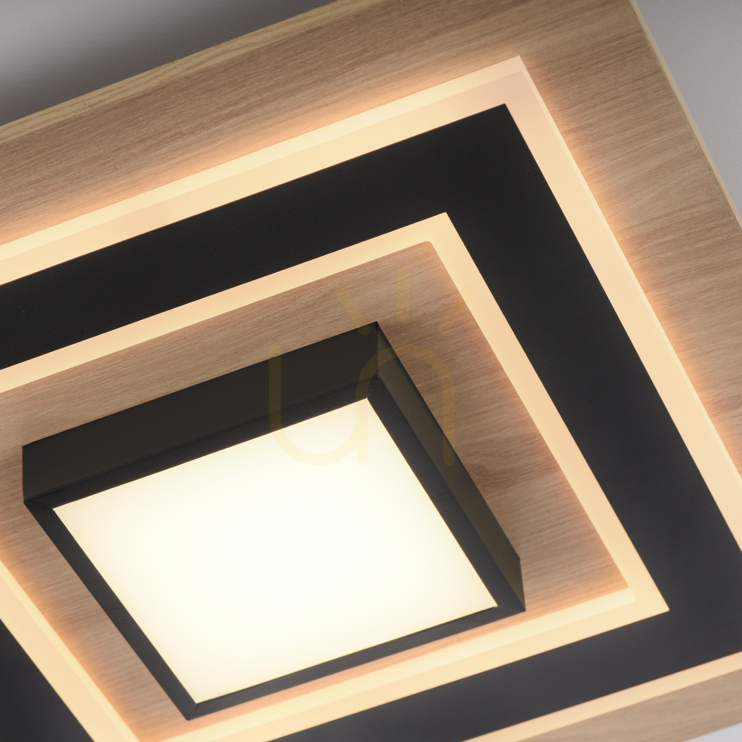 Spectacol TOLA plafond 14563-18 negru 1xLED TOLA plafond 14563-18 negru 1xLED