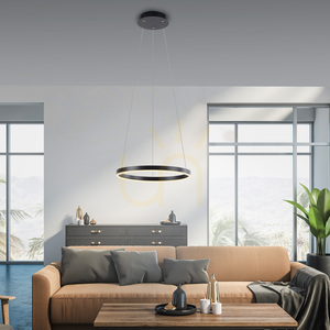 RITUS Lampă suspendată 15393-13 Antracit 1xLED small 2