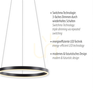 RITUS Lampă suspendată 15393-13 Antracit 1xLED small 3