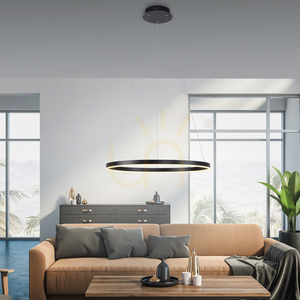 RITUS Lampă suspendată 15394-13 Antracit 1xLED 2 RITUS Lampă suspendată 15394-13 Antracit 1xLED small 2