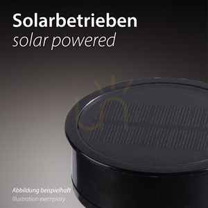 Țăruș solar de grădină Zuma Line FACKEL-SOL 19107-18 negru LED small 5