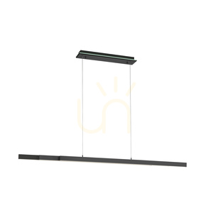 Corp de iluminat suspendat LED Paul Neuhaus Q-ARIAN 2569-13, antracit, CCT RGB small 6
