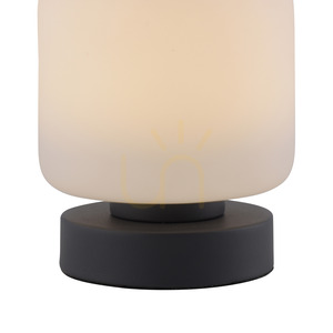 Lampă de masă BOTA 4037-13 Antracit 1xLED small 8