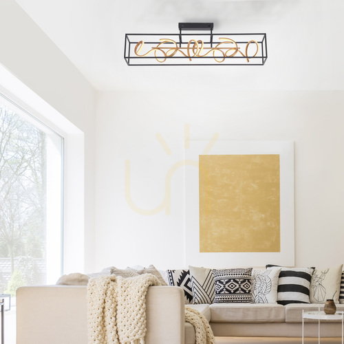 Verificați Plafond Paul Neuhaus Selina 6473-18 negru 4xLED