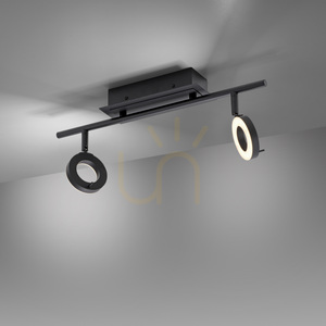Spot de tavan Paul Neuhaus SILEDA 6781-13 antracit 2xLED small 10