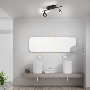 Spot de tavan Paul Neuhaus SILEDA 6781-13 antracit 2xLED small 2