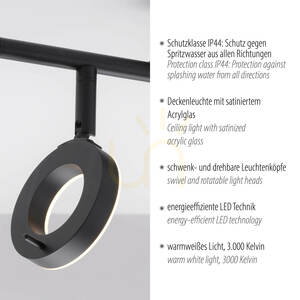 Spot de tavan Paul Neuhaus SILEDA 6781-13 antracit 2xLED small 3