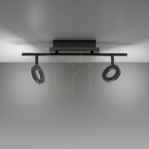 Spot de tavan Paul Neuhaus SILEDA 6781-13 antracit 2xLED small 5