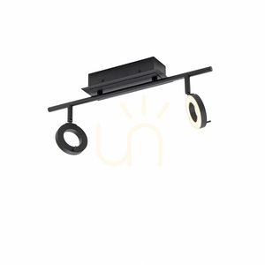 Spot de tavan Paul Neuhaus SILEDA 6781-13 antracit 2xLED small 7