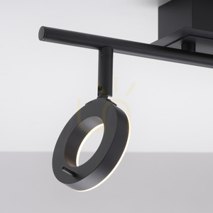 Spot de tavan Paul Neuhaus SILEDA 6781-13 antracit 2xLED small 9