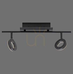 Spot de tavan Paul Neuhaus SILEDA 6781-13 antracit 2xLED small 0