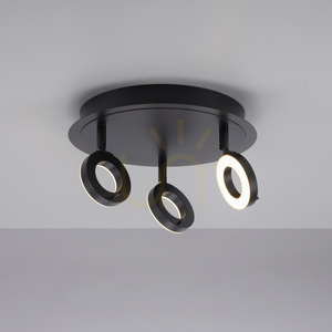 Plafonieră LED Paul Neuhaus SILEDA 6788-13 antracit 3000 K IP44 small 10