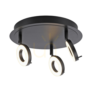 Plafonieră LED Paul Neuhaus SILEDA 6788-13 antracit 3000 K IP44 small 13