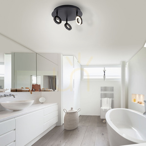 Plafonieră LED Paul Neuhaus SILEDA 6788-13 antracit 3000 K IP44 small 2