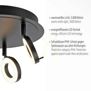 Plafonieră LED Paul Neuhaus SILEDA 6788-13 antracit 3000 K IP44 small 3