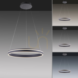 Q-VITO 8411-13 Antracit 1xLED Lampă suspendată small 4