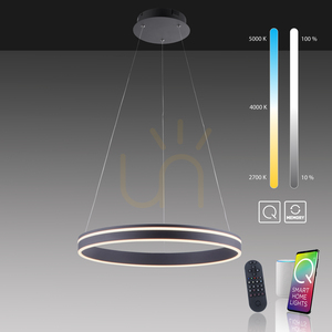 Q-VITO 8411-13 Antracit 1xLED Lampă suspendată small 9