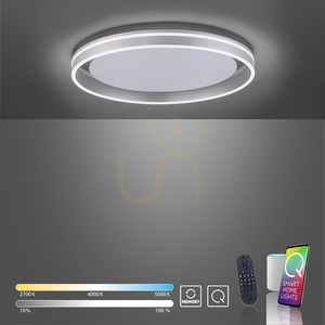 Plafond Q-VITO 8416-55 Argint 1xLED small 10