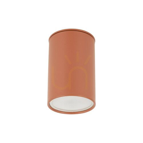 Verifica Spot de iluminat Top Brick 1 XGU10