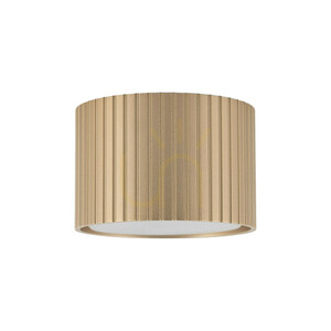 Ferro Champagne Downlight+ Gx53 small 3