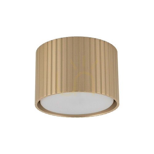 Verifica Ferro Champagne Downlight+ Gx53