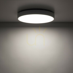 Lampă de tavan LED Velis White, 30 W, IP54 small 2