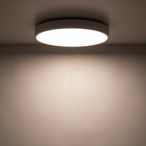 Lampă de tavan LED Velis White, 30 W, IP54 small 4