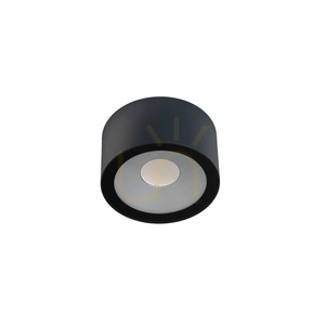 Plafonieră LED de exterior Sol 4056GR, grafit RAL 7016, Ø20 cm, 4000 K, DALI2 – NORLYS small 1