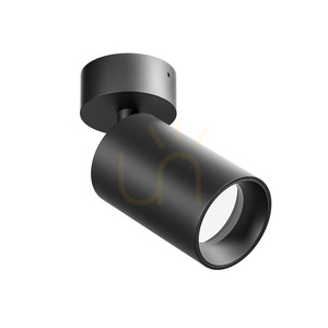 Lampa de tavan GFA1395, negru, de la Gea Luce small 0