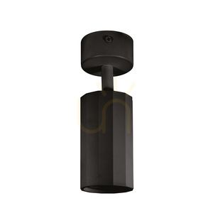 Lampa de tavan GFA1601, negru, de la Gea Luce small 0