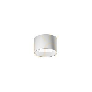 Lampa de tavan albă GPL330H de la Gea Luce small 0
