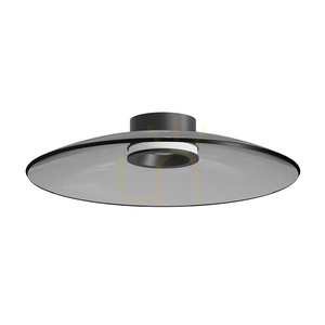 Lampă LED de tavan 30 W, 2700 K–3000 K, Triac, negru mat – sticlă fumurie, ZAMBELIS small 1