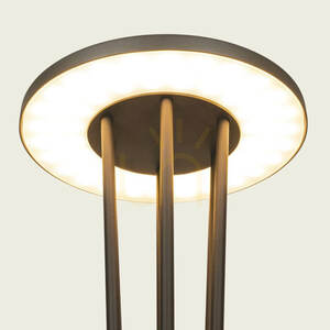 Stâlp de iluminat exterior cu LED, 15,5 W, 3000 K, aluminiu grafit, IP65, ZAMBELIS small 2