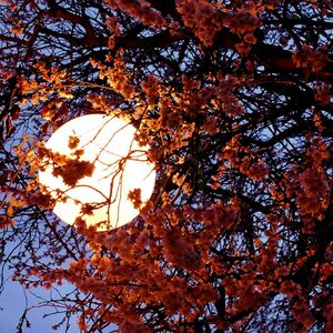 Lampă suspendată pentru interior și exterior s.luce Globe, albă, 30 cm, E27, IP54 small 0