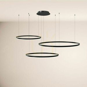Lustă LED s.luce Ring 3x antracit, dimabilă, rotundă, 150 cm 7 Lustă LED s.luce Ring 3x antracit, dimabilă, rotundă, 150 cm small 7