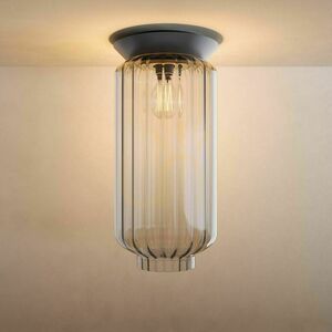 Plafonieră s.luce Velo din sticlă transparentă, E27, 20 cm, modernă small 5